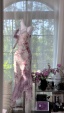 dongguan dress factory, dongguan dress supplier  summer dress silk dress silk skirt dress satin dress floral dress overall dress cotton dress skirt dress vintage dress bodycon dress slip dress A line dress lace dress chiffon dress chinese style dress