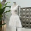 dongguan dress factory, dongguan dress lace dress  supplier