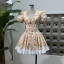 dongguan dress factory, dongguan dress floral dress  supplier