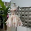 dongguan dress factory, dongguan dress A line dress  supplier