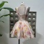 dongguan dress factory, dongguan dress A line dress  supplier