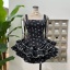 dongguan dress factory, dongguan dress A line dress  supplier