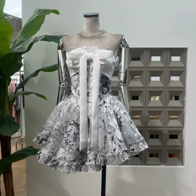 dongguan dress factory, dongguan dress A line dress  supplier