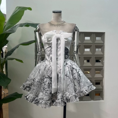 dongguan dress factory, dongguan dress  a line dress  supplier