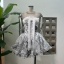 dongguan dress factory, dongguan dress A line dress  supplier