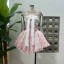 dongguan dress factory, dongguan dress A line dress  supplier