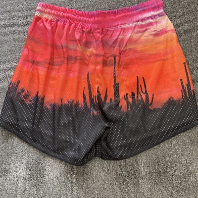 dongguan gymwear factory, dongguan gymwear gbt shorts supplier