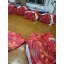 dongguan gymwear factory, dongguan gymwear gbt shorts  supplier