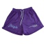dongguan gymwear factory, dongguan gymwear mesh shorts  supplier