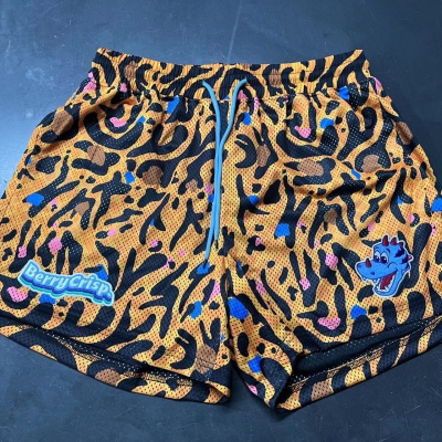 dongguan gymwear factory, dongguan gymwear mesh shorts supplier