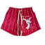 dongguan gymwear factory, dongguan gymwear mesh shorts  supplier