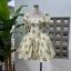dongguan dress factory, dongguan dress supplier  summer dress silk dress silk skirt dress satin dress floral dress overall dress cotton dress skirt dress vintage dress bodycon dress slip dress A line dress lace dress chiffon dress chinese style dress