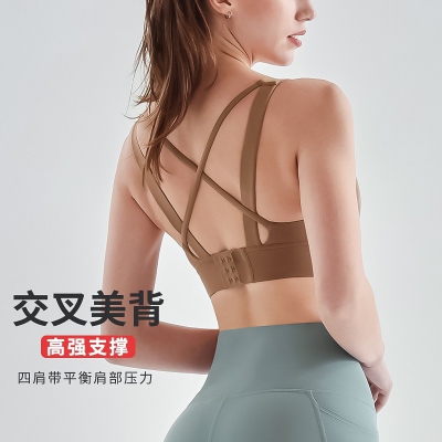 dongguan activewear factory, dongguan activewear  sports bra  supplier