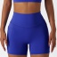 dongguan activewear factory, dongguan activewear yoga shorts  supplier
