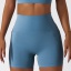dongguan activewear factory, dongguan activewear yoga shorts  supplier