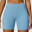dongguan activewear factory, dongguan activewear yoga shorts  supplier