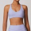 dongguan activewear factory, dongguan activewear sports bra  supplier