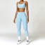 dongguan activewear factory, dongguan activewear  yoga sets  supplier