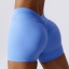 dongguan activewear factory, dongguan activewear yoga shorts  supplier