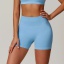 dongguan activewear factory, dongguan activewear yoga shorts  supplier