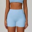 dongguan activewear factory, dongguan activewear yoga shorts  supplier