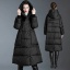 dongguan womenwear factory, dongguan womenwear women down coat  supplier