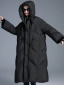 dongguan womenwear factory, dongguan womenwear women down coat  supplier