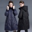 dongguan womenwear factory, dongguan womenwear women down coat  supplier