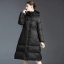 dongguan womenwear factory, dongguan womenwear women down coat  supplier