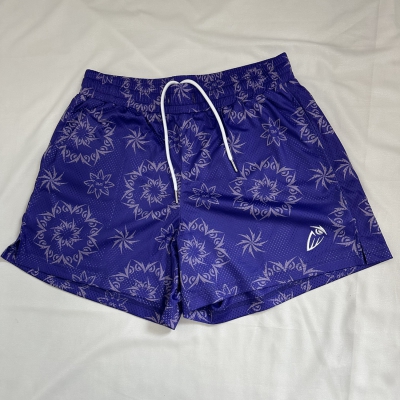 dongguan gymwear factory, dongguan gymwear mesh shorts supplier