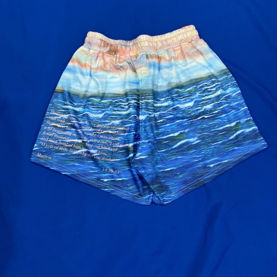 dongguan gymwear factory, dongguan gymwear mesh shorts supplier