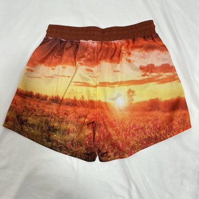 dongguan gymwear factory, dongguan gymwear mesh shorts supplier
