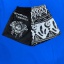 dongguan gymwear factory, dongguan gymwear mesh shorts  supplier