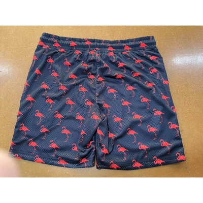 dongguan gymwear factory, dongguan gymwear mesh shorts supplier