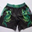 dongguan gymwear factory, dongguan gymwear fight shorts  supplier