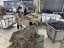 dongguan data factory, dongguan data washing  supplier