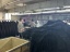 dongguan data factory, dongguan data washing  supplier