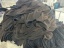 dongguan data factory, dongguan data washing  supplier