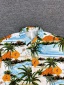 dongguan streetwear factory, dongguan streetwear hawaii shirt  supplier
