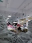 dongguan data factory, dongguan data supplier  factory showroom washing sublimation account women dress music video