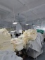 dongguan data factory, dongguan data supplier  factory showroom washing sublimation account women dress music video
