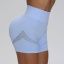 dongguan activewear factory, dongguan activewear yoga shorts  supplier