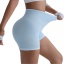 dongguan activewear factory, dongguan activewear yoga shorts  supplier