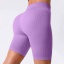 dongguan activewear factory, dongguan activewear yoga shorts  supplier