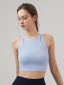 dongguan activewear factory, dongguan activewear yoga top  supplier