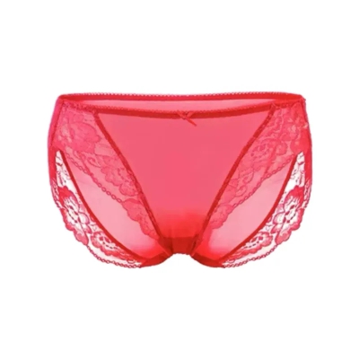 dongguan womenwear factory, dongguan womenwear underwear  supplier