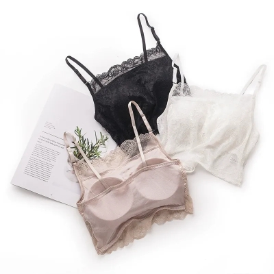 dongguan womenwear factory, dongguan womenwear women bra supplier