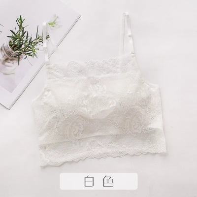 dongguan womenwear factory, dongguan womenwear women bra supplier