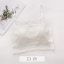 dongguan womenwear factory, dongguan womenwear women bra  supplier