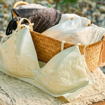 dongguan womenwear factory, dongguan womenwear women bra  supplier